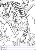 coloriage-tigre-1
